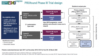 CAREERING｜PLACEBO301 Study of Olaparib (Lynparzau2122) Versus Enzalutamide or