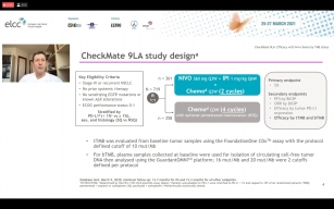 ゴリラフランケン　パステルマーブル A Study of Nivolumab and Ipilimumab Combined With