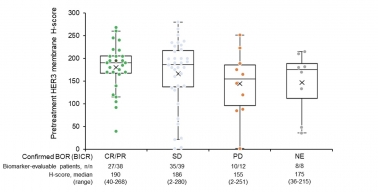 U3-1402 in Metastatic or Unresectable Non-Small Cell Lung Cancer