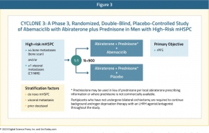 A Study of Abemaciclib (LY2835219) With Abiraterone in Men