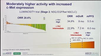 AMLS 日本語版 へるす出版 AMLS日本語版