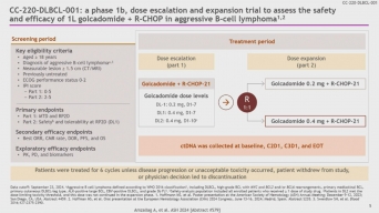 Study of Safety and Efficacy of Iberdomide (CC-220) and CC