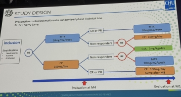 0.315 E VS-2 3EX HC Faint CGL アカデミー EHA 2025: CYCLOPHOSPHAMIDE IS SUPERIOR TO METHOTREXATE IN