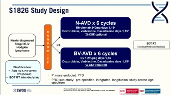 Immunotherapy (Nivolumab or Brentuximab Vedotin) Plus
