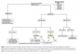 A Study of Zolbetuximab (IMAB362) Plus CAPOX Compared With Placebo
